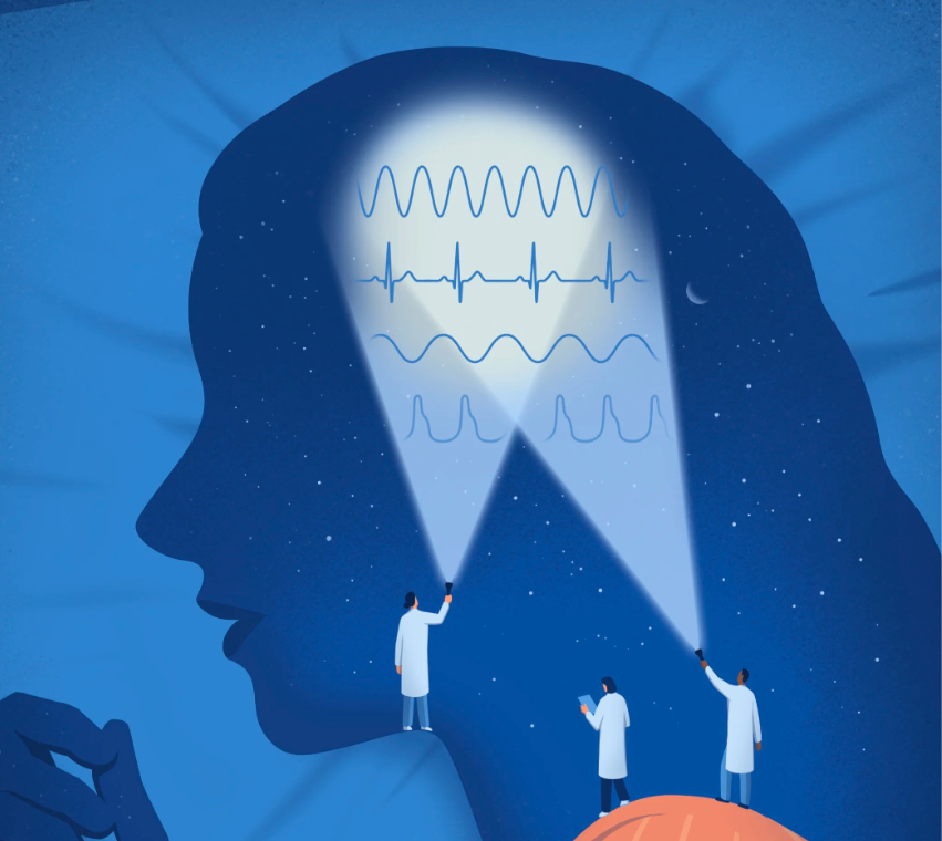 Schlafforschung Teil 1: Unsere Schlafarchitektur